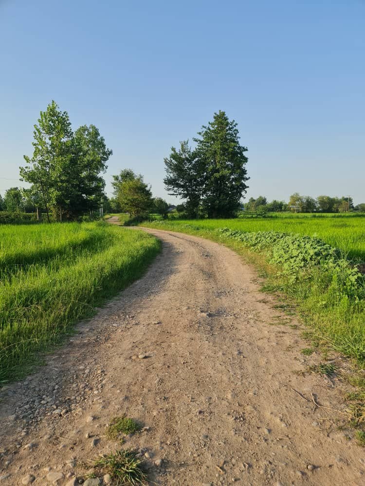 ویلا ویلای پاشاکی