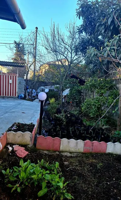 سوئیت یک خوابه خلج 1