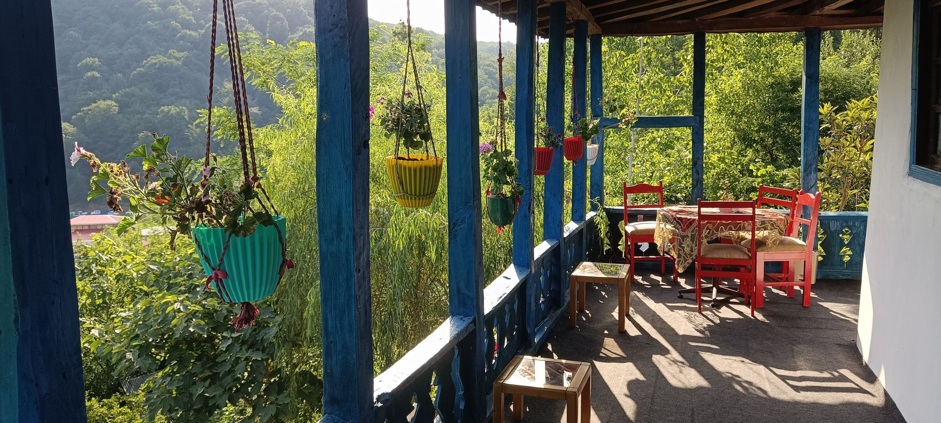 دوخوابه‌ جنگلی درفک