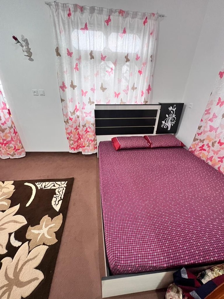 ویلا یک خوابه حامی 2