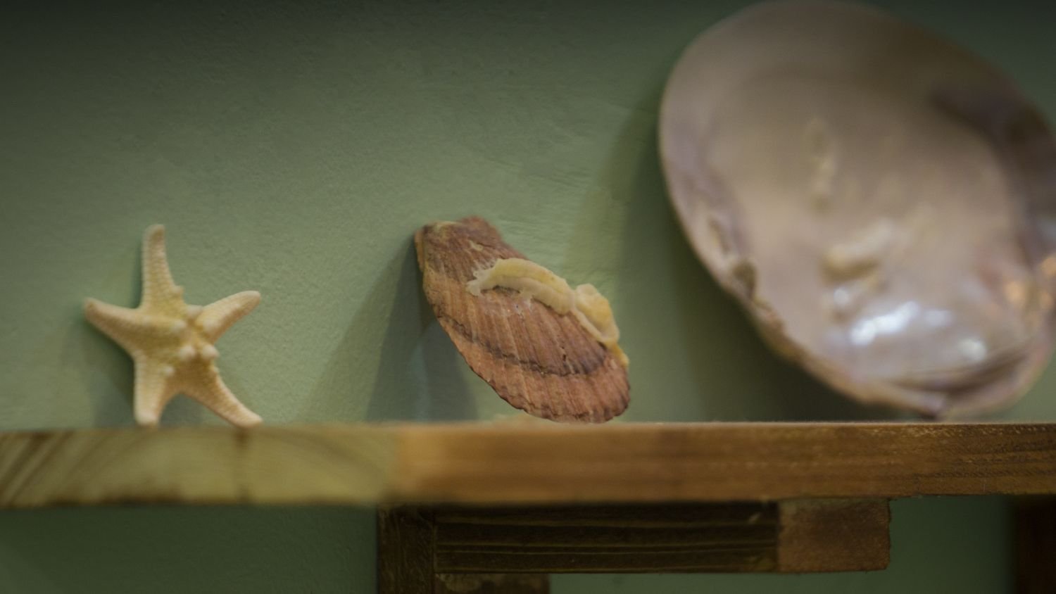 بومگردی خانه‌ی درنگ - واحد روزنه‌ی دریا