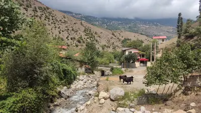 ویلا دوخوابه جنگلی تیام