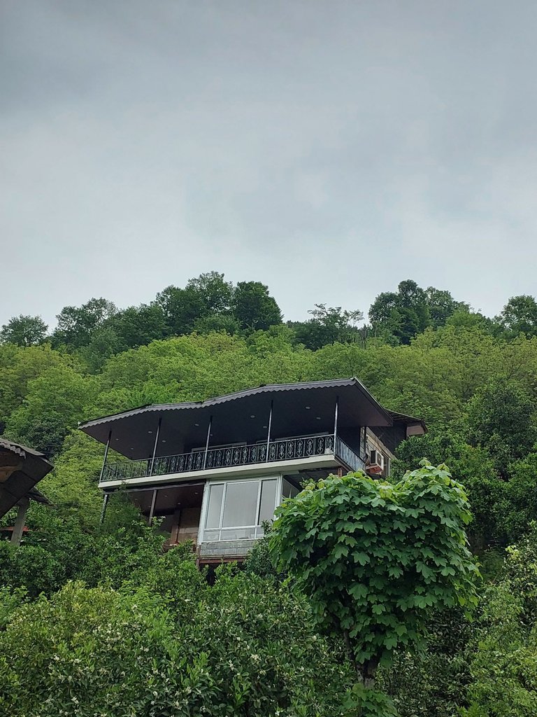 ویلا دوخوابه جنگلی پُلا تِلار