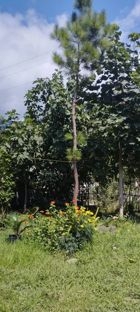 مجتمع اقامتگاهی ویلای یک خوابه مصطفی 