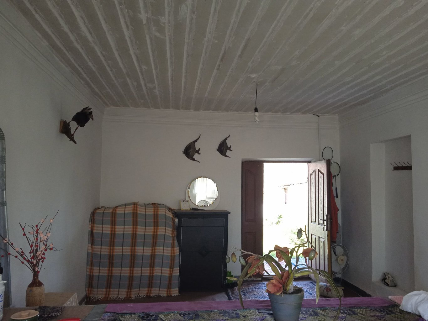 یک خوابه سردار جنگل 2