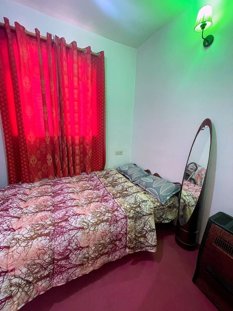 یک خوابه جنگلی سروناز