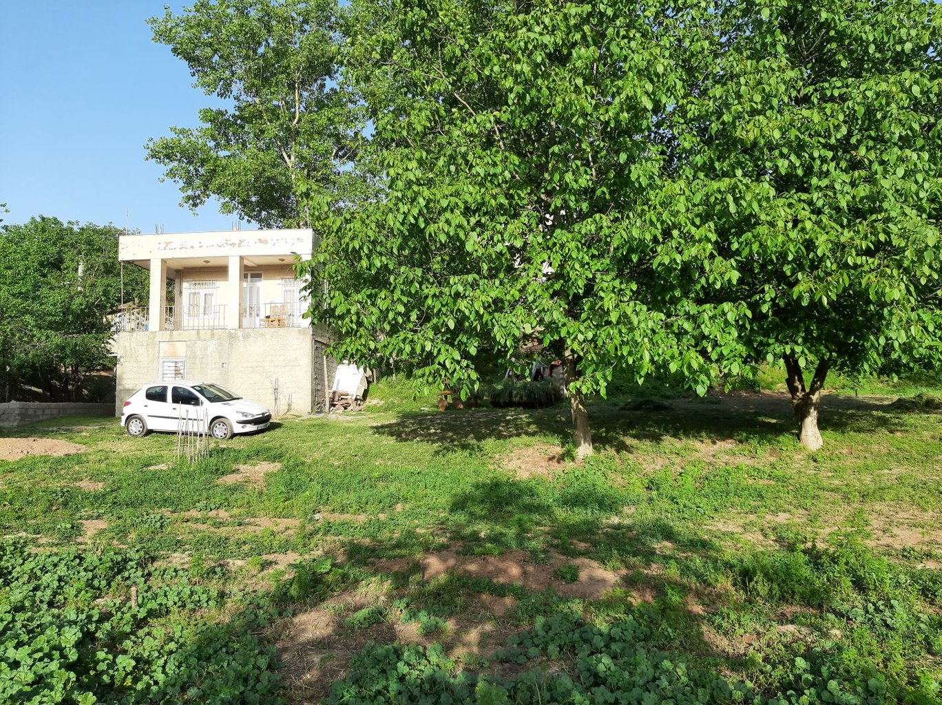 سوئیت یک خوابه جنگلی قلعه قافه