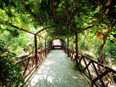 ویلا یک خوابه ترنج فین