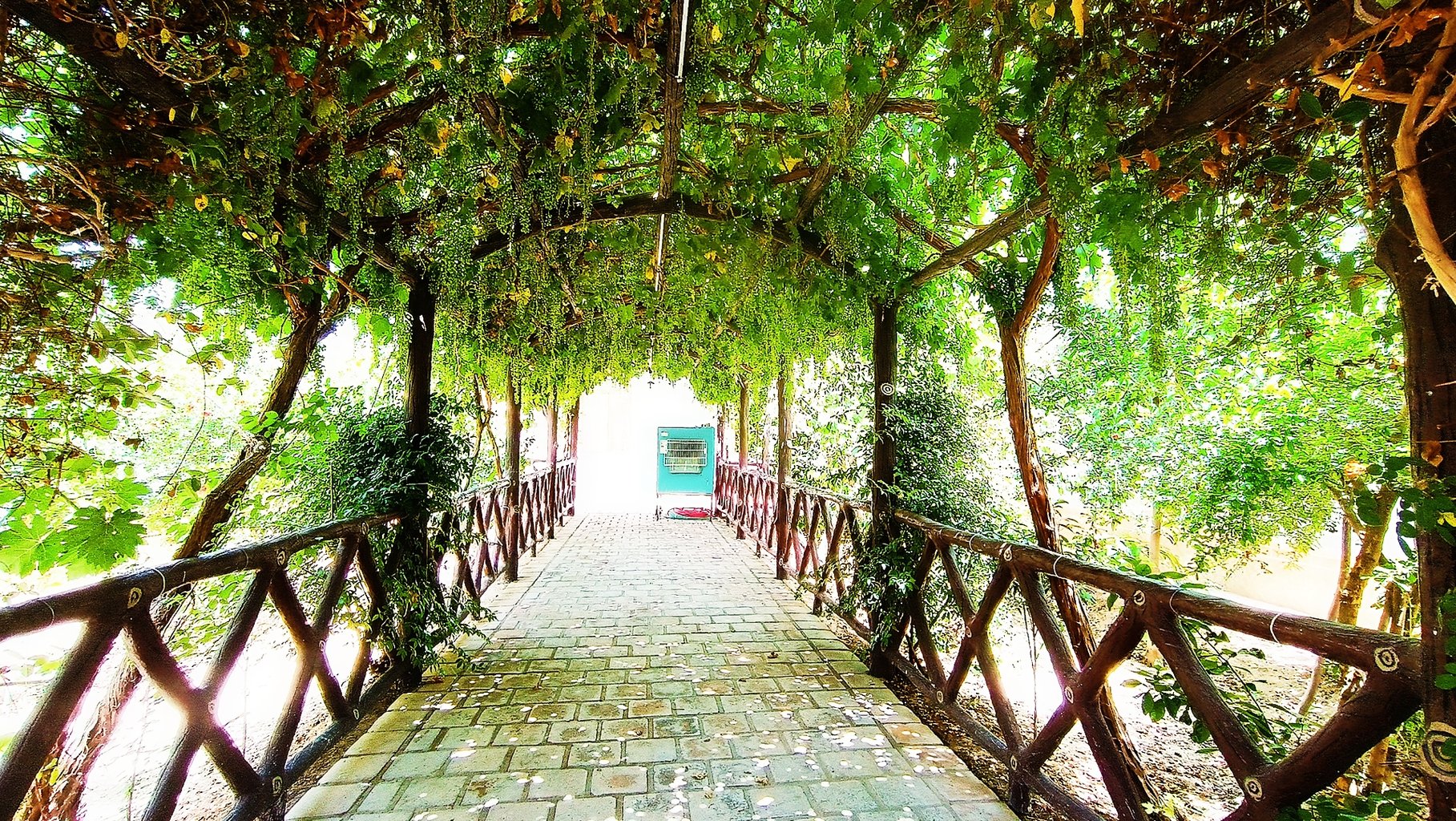 ویلا یک خوابه ترنج فین