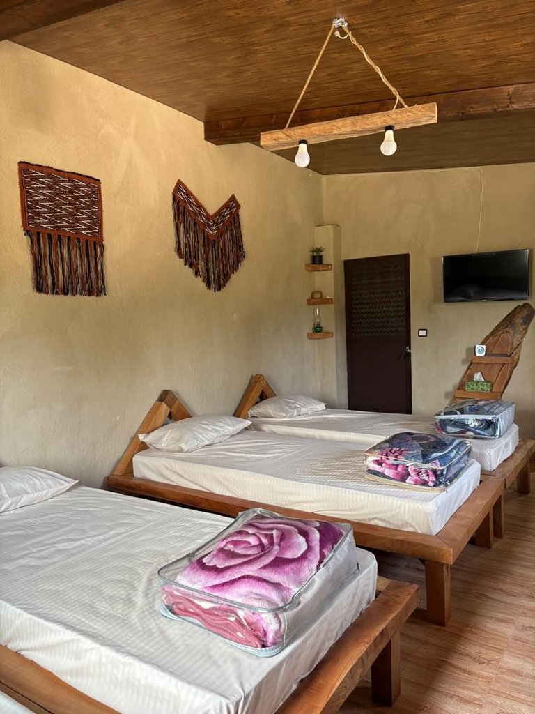 تی تی تگن - واحد وَلیک