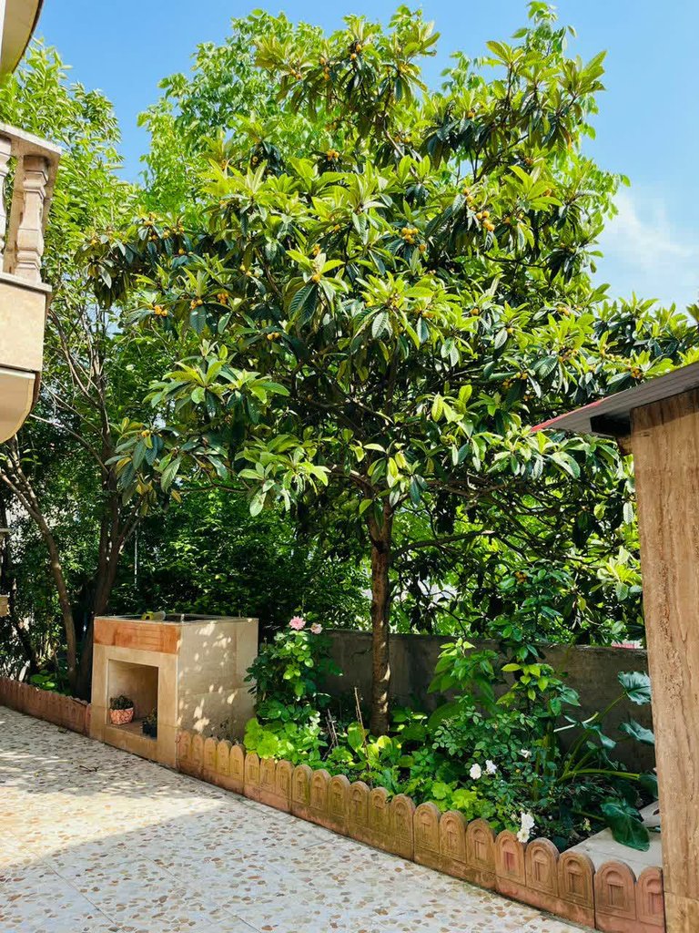 آپارتمان یک خوابه سرخکلا