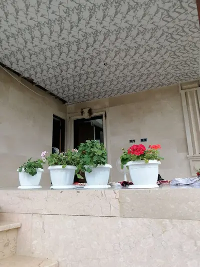 ویلا خانه در دل جنگل 6