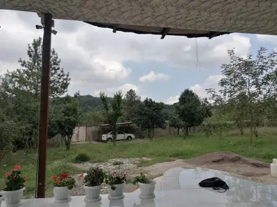 ویلا خانه در دل جنگل 6