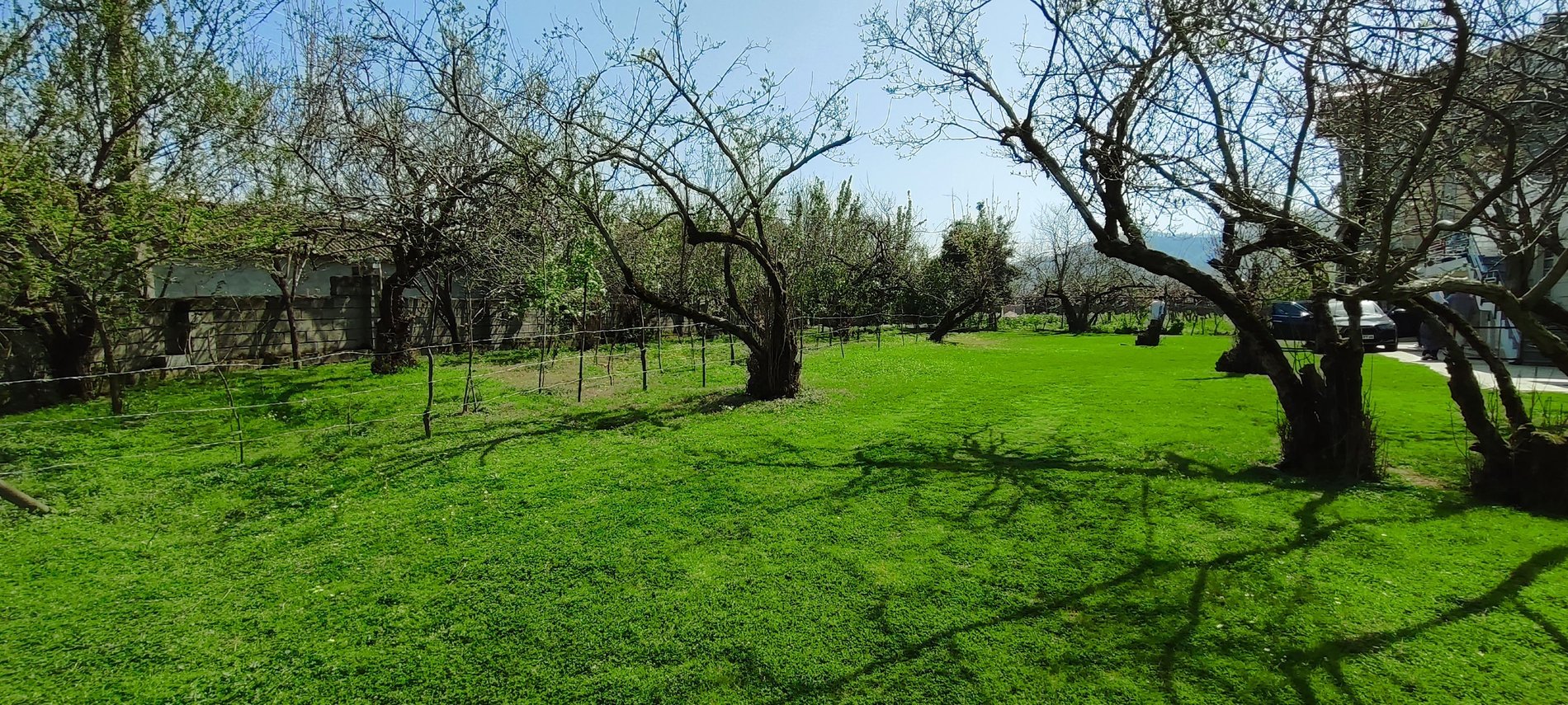 سوئیت یک خوابه تندیس 2