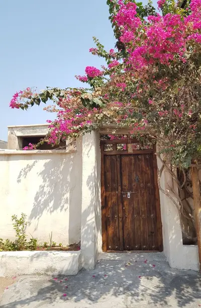 بومگردی یک تخته حَبا اتاق 4