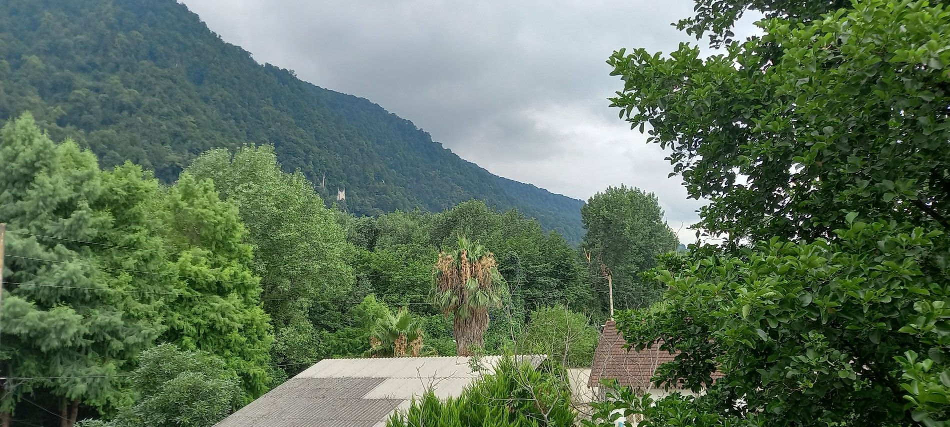 آپارتمان دوخوابه جنگلی گل نرگس 1