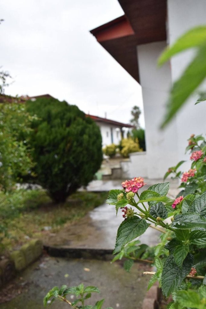 ویلا یک خوابه آسمان - واحد 8 - فضای سبز مجتمع