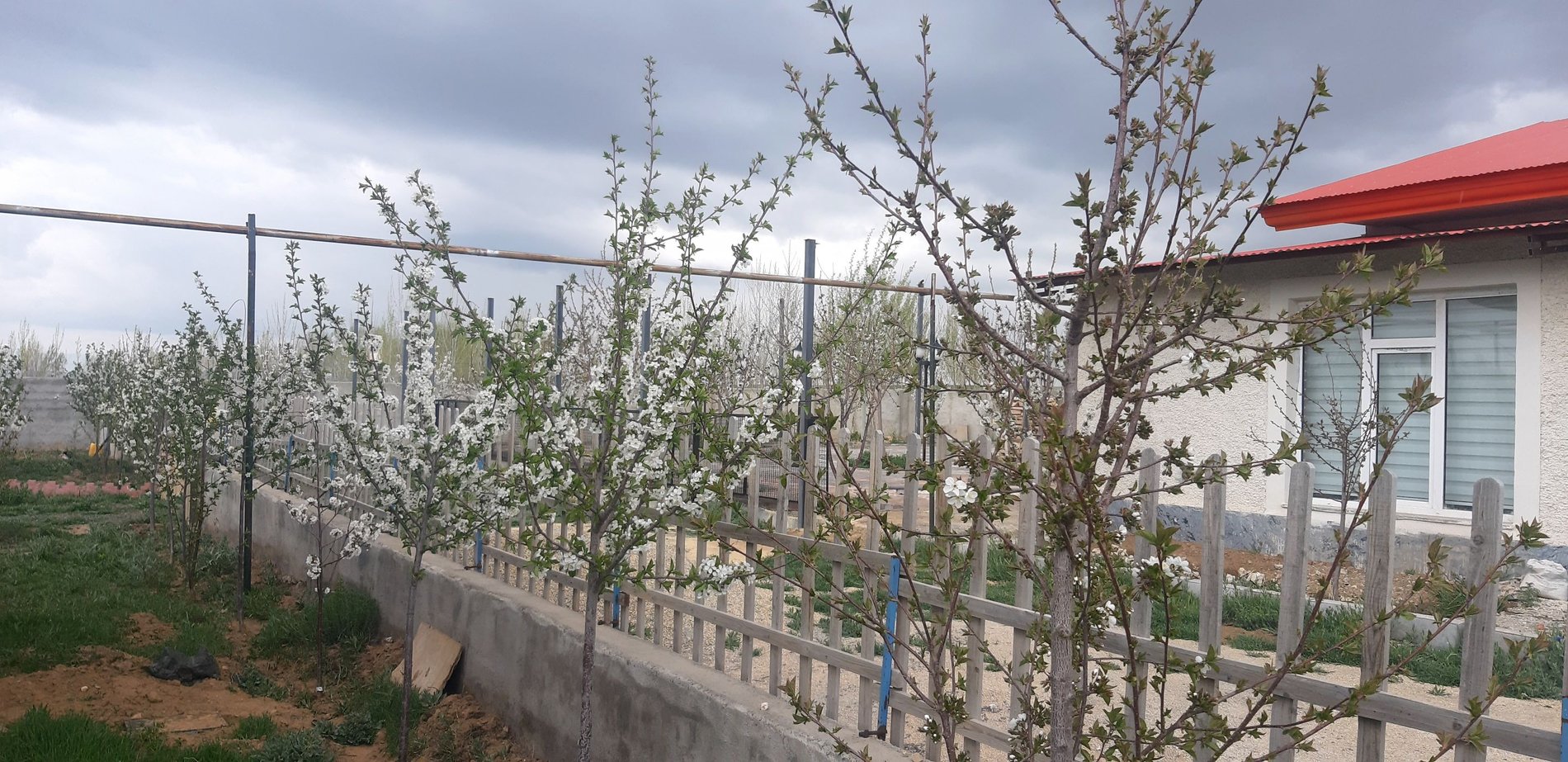 دوخوابه کندیم ۵