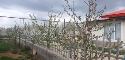 ویلا دوخوابه کندیم ۵