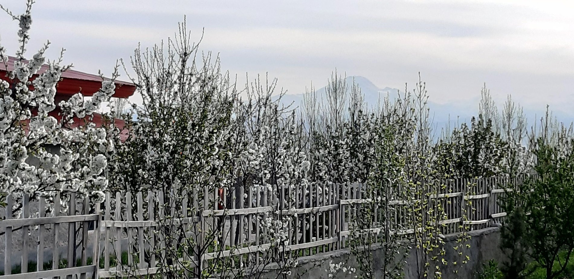 دوخوابه کندیم ۱۲