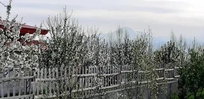 ویلا دوخوابه کندیم ۱۲