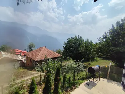 سوئیت یک خوابه جنگلی امیران