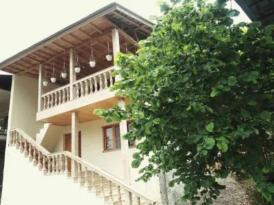 ویلا دوخوابه جنگلی دارمیک