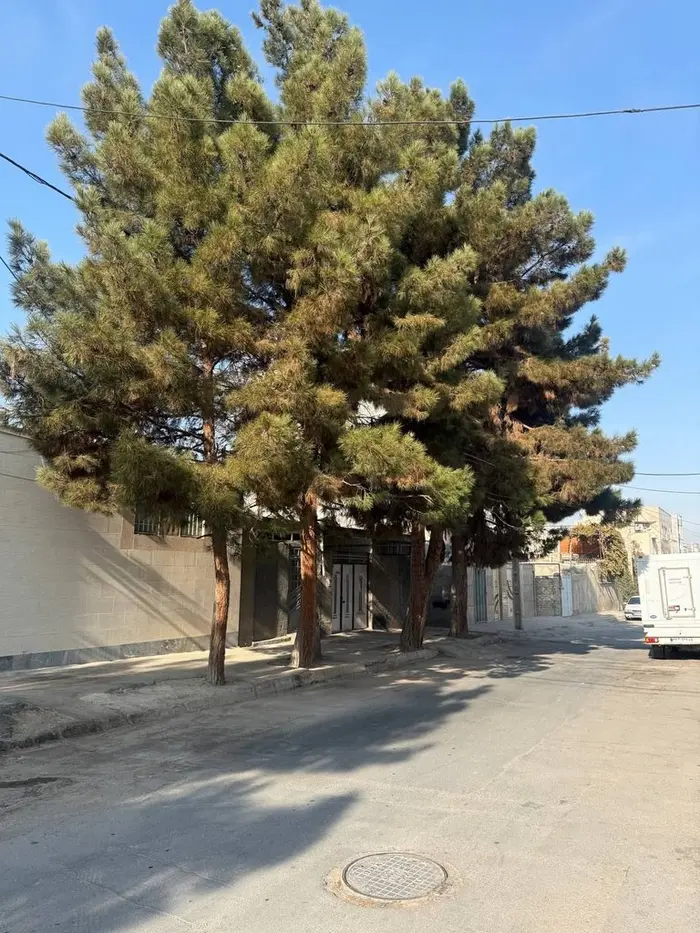 آپارتمان یک خوابه تازه ساخت و شیک سلطانی - محیط کوچه