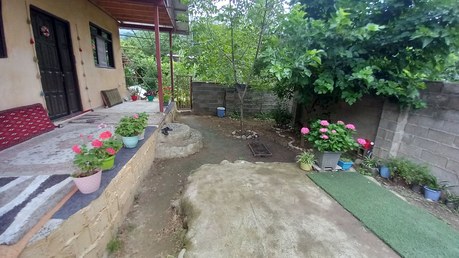 یک خوابه جنگلی لمس چشمه