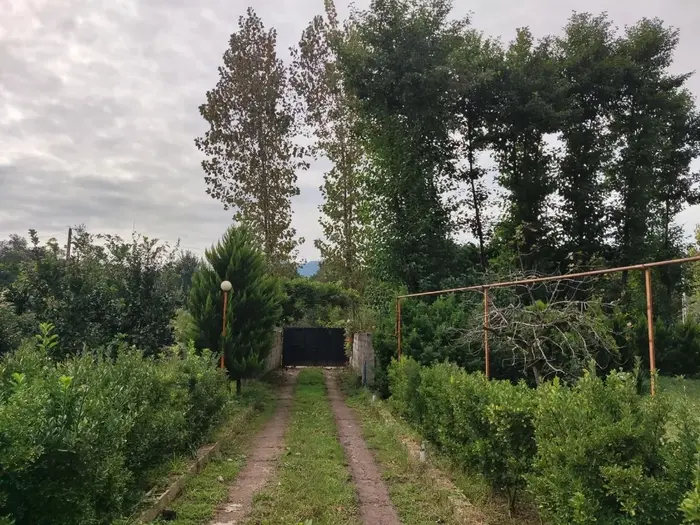 سوئیت یک خوابه خونه باغ گلی - ورودی باغ