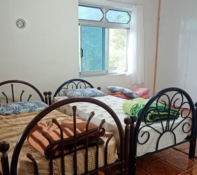 ویلا یک خوابه دوبلکس جنگلی محمد