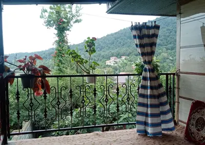 ویلا یک خوابه دوبلکس جنگلی محمد