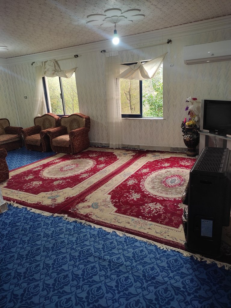 ویلا یک خوابه جنگلی کاج - حال و پذیرایی