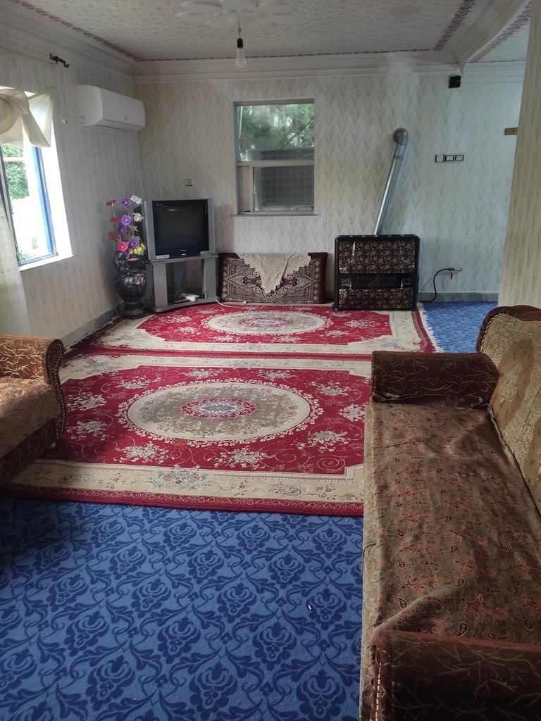 ویلا یک خوابه جنگلی کاج - حال و پذیرایی