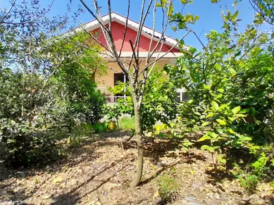 ویلا یک خوابه خانه باغ آرامش 2