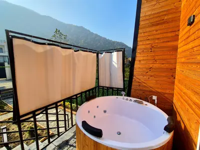 کلبه یک خوابه سوئیسی جکوزی دار نیک