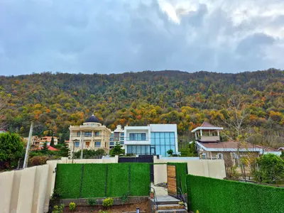 کلبه یک خوابه سوئیسی جکوزی دار نیک