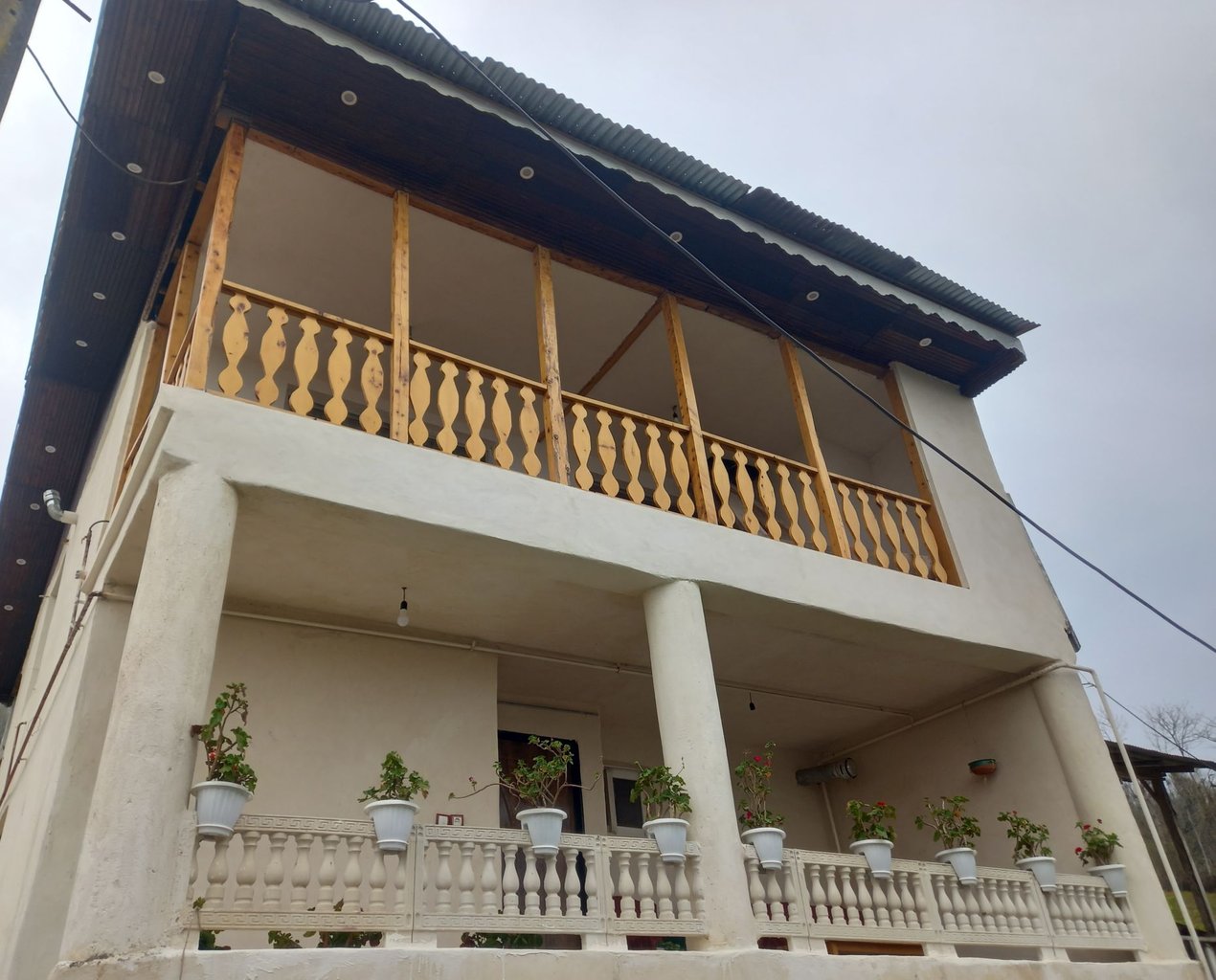 دوخوابه جنگلی حلیمه جان