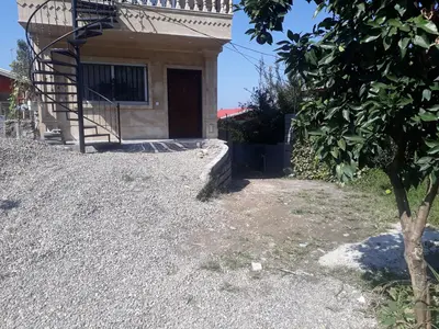 سوئیت فلت جنگلی لفور