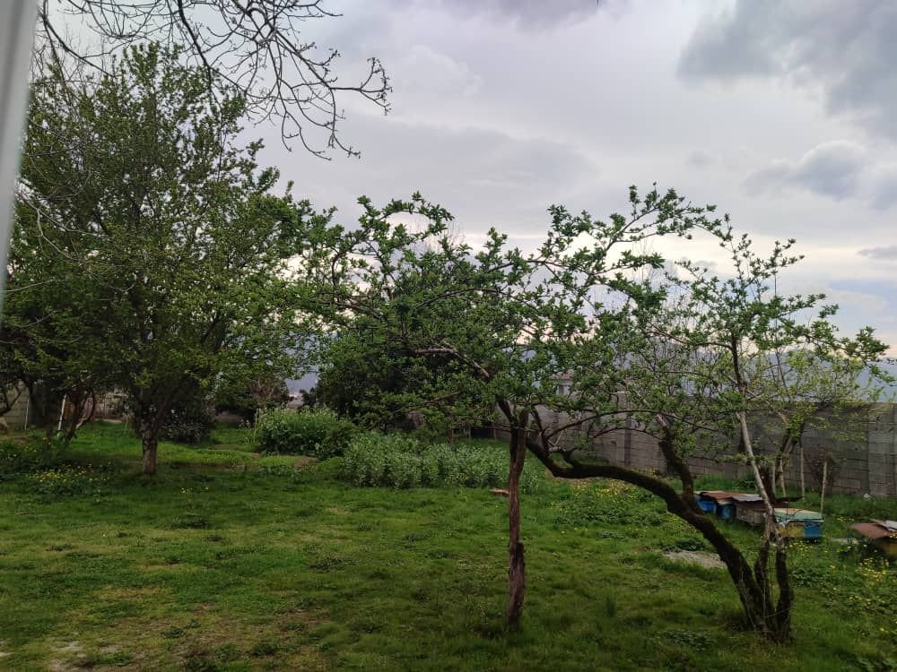 سوئیت یک خوابه روستایی گیل