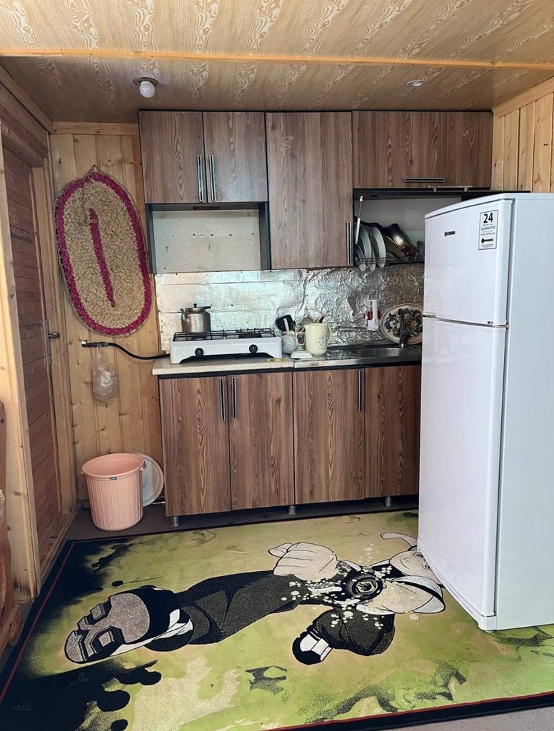 دوخوابه چوبی عابدی