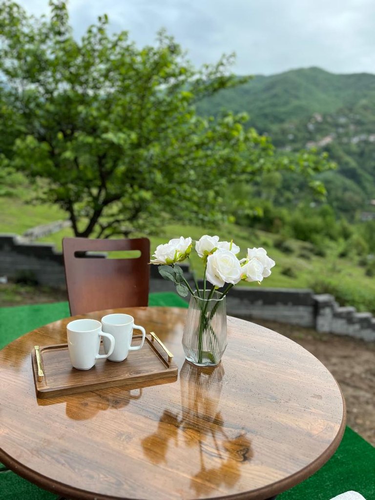 کلبه سوئیسی جنگلی هالیدی