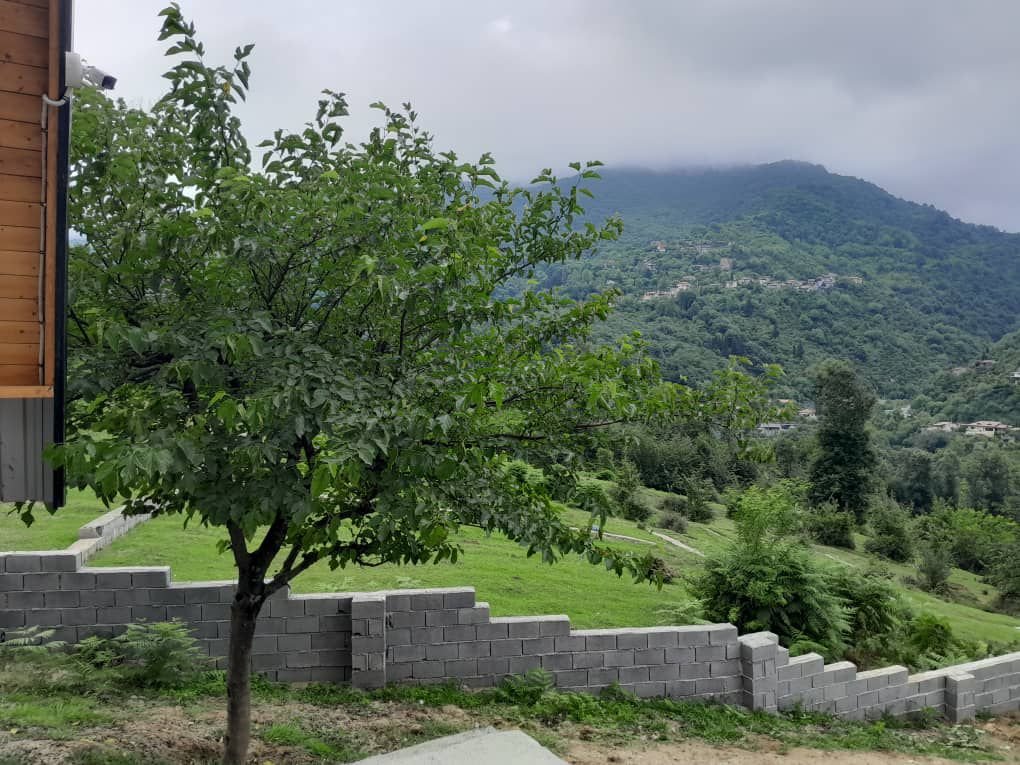 کلبه سوئیسی  جنگلی هالیدی