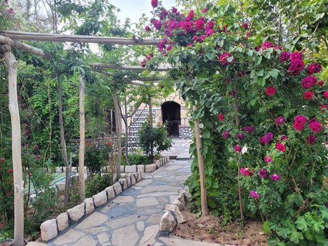 بوم گردی شاردون - واحد کانکت نسترن