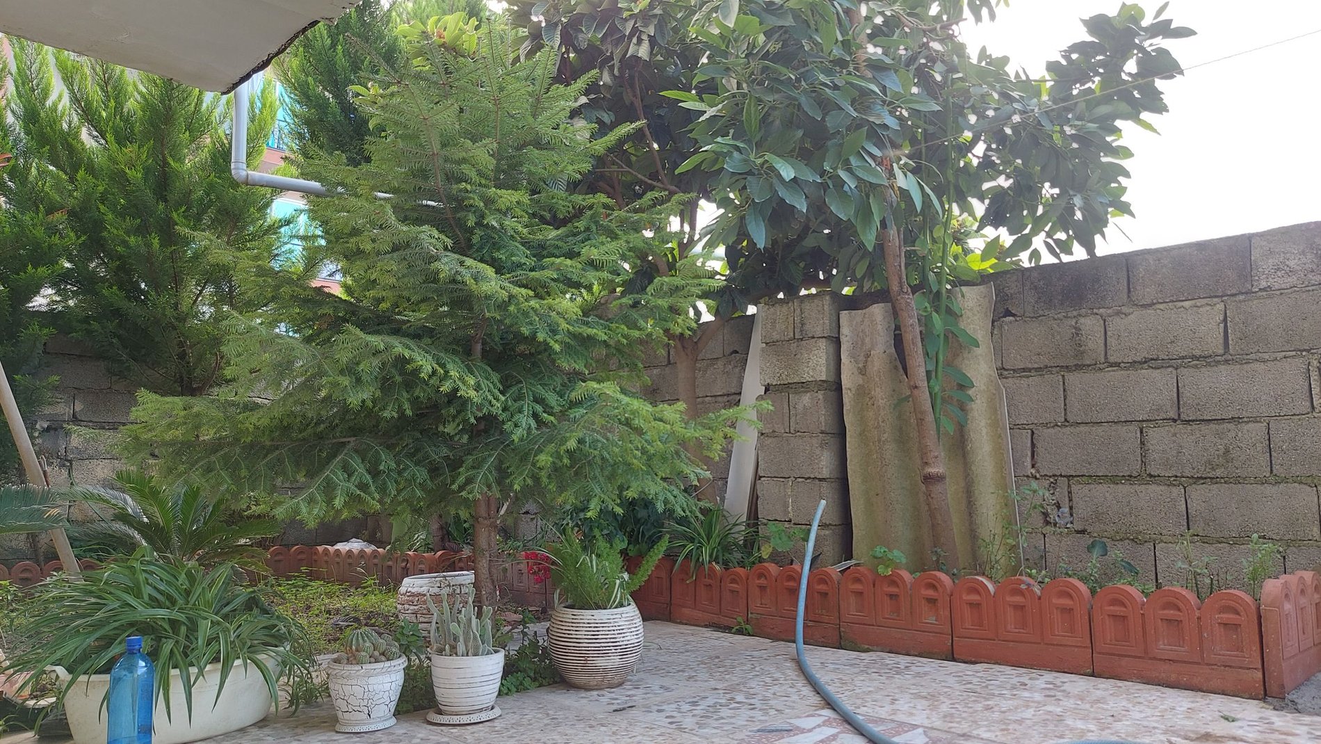 یک خوابه دیوان