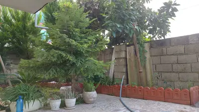 سوئیت یک خوابه دیوان