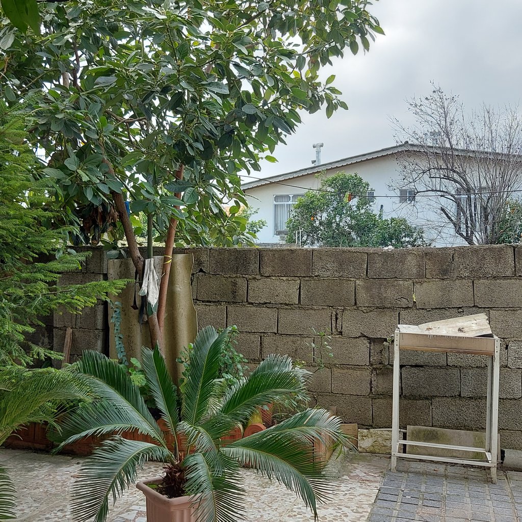 سوئیت یک خوابه دیوان