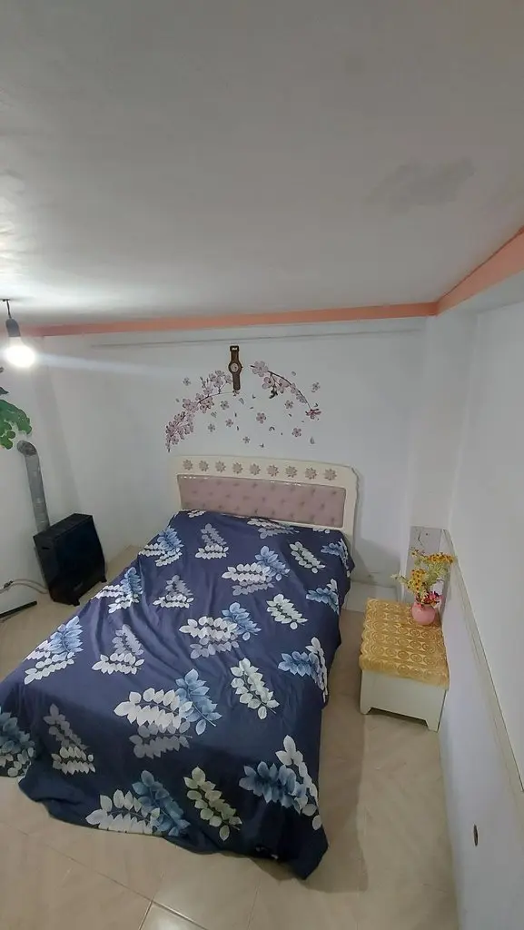 سوئیت یک خوابه دیوان