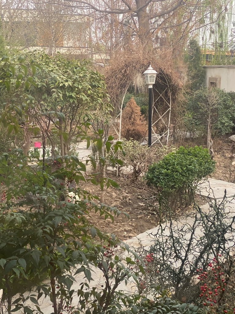 ویلا دوخوابه استخردار ساحل 1