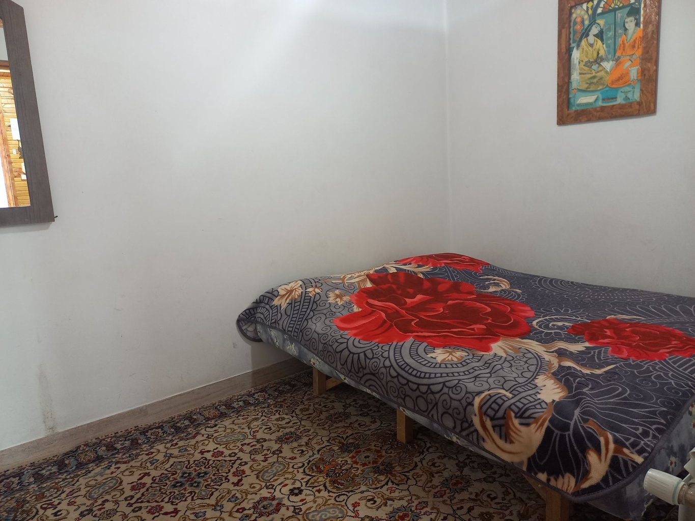 یک خواب سالارپور واحد میخک